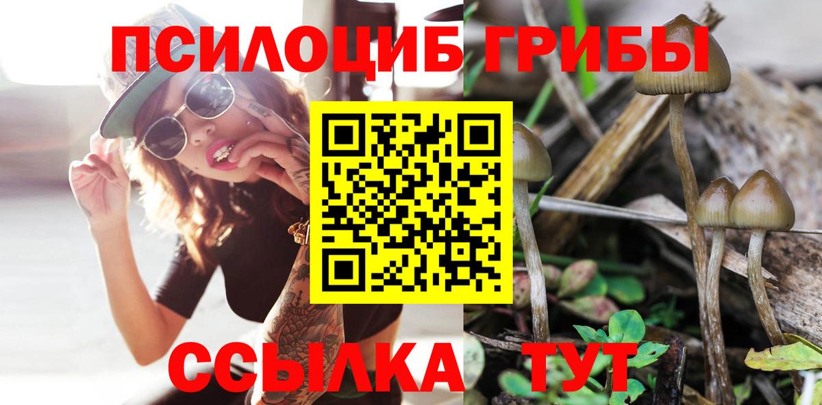Галлюциногенные грибы прущие грибы  Вход с VPN  Ишим 